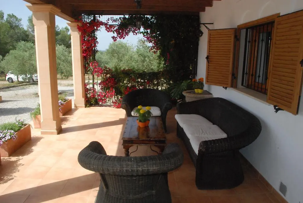 Mater Ses Oliveres Villa Llubi