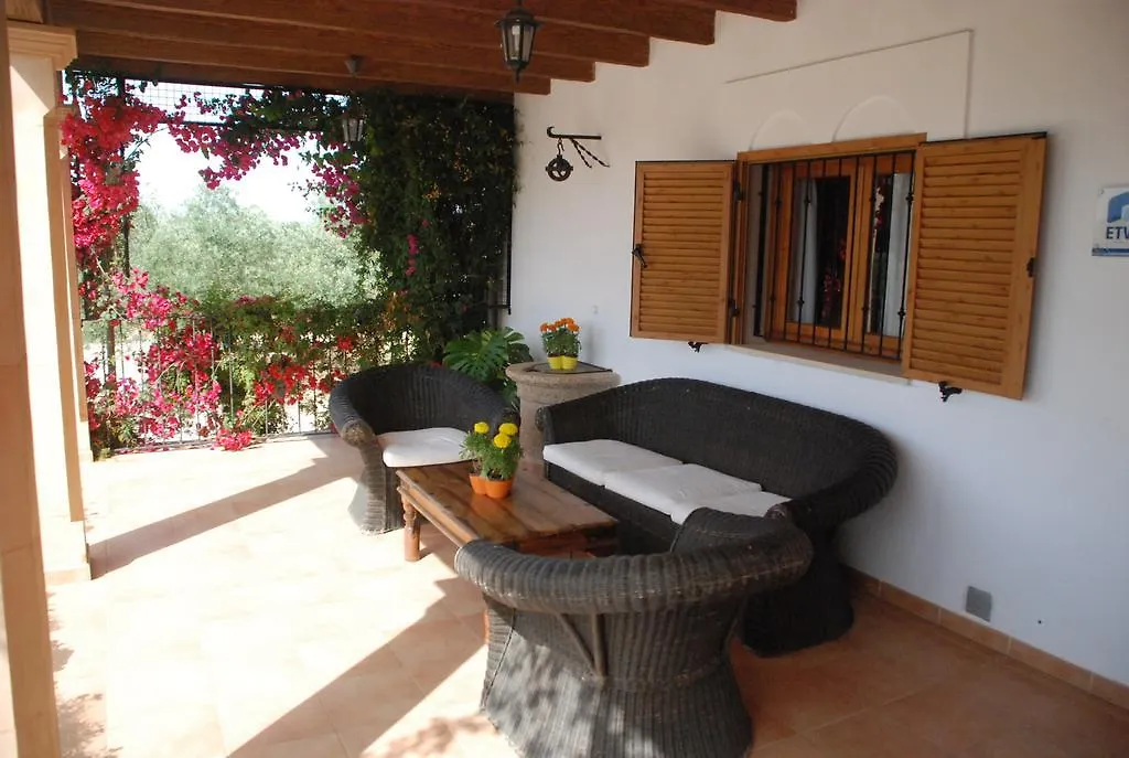 Mater Ses Oliveres Villa Llubi Spain