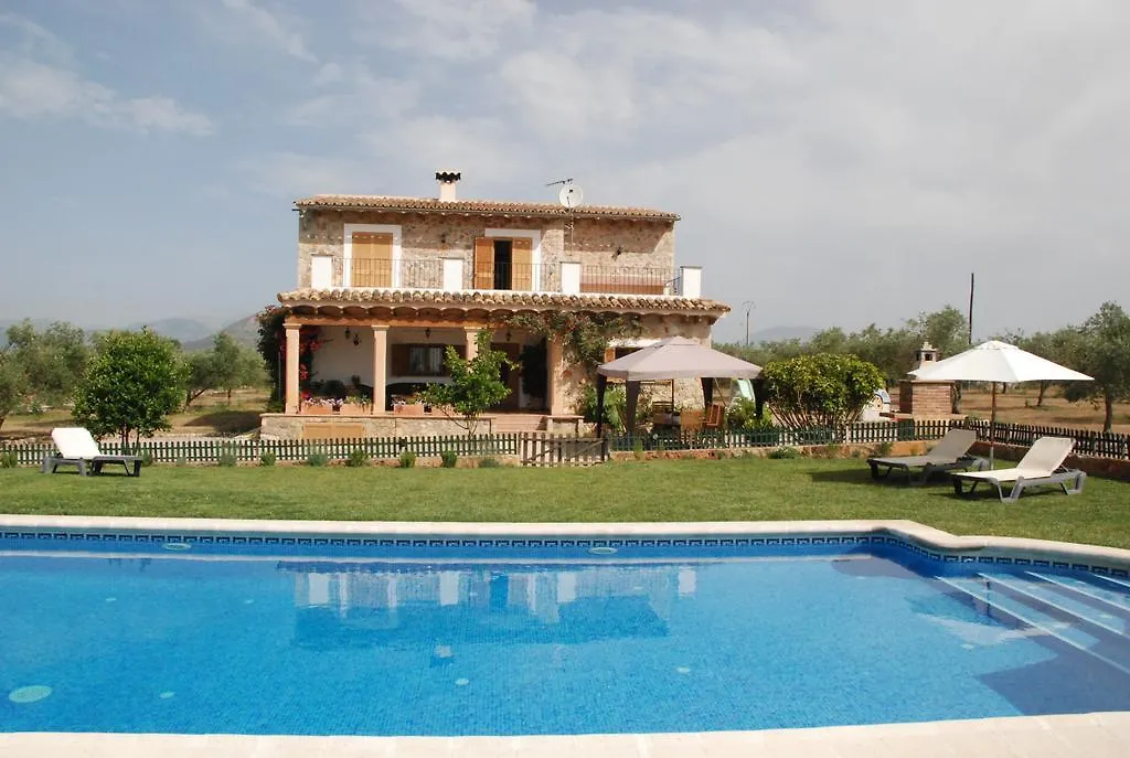 Mater Ses Oliveres Villa Llubi