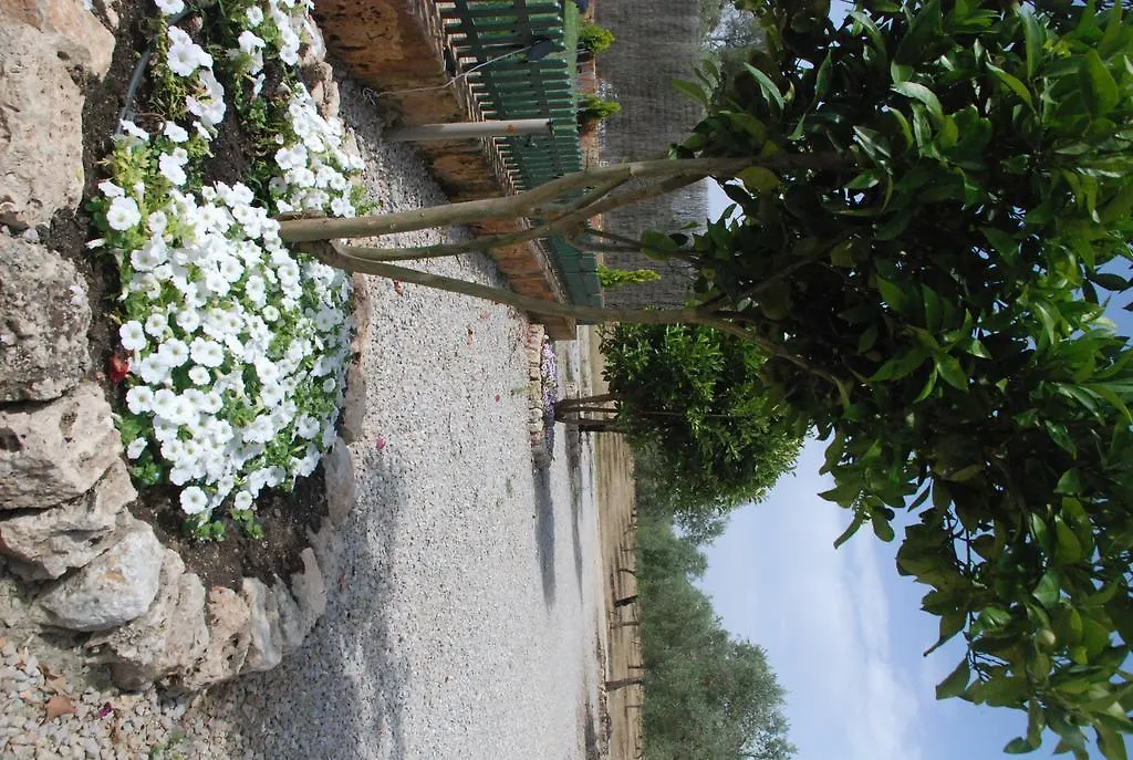 Mater Ses Oliveres Villa Llubi