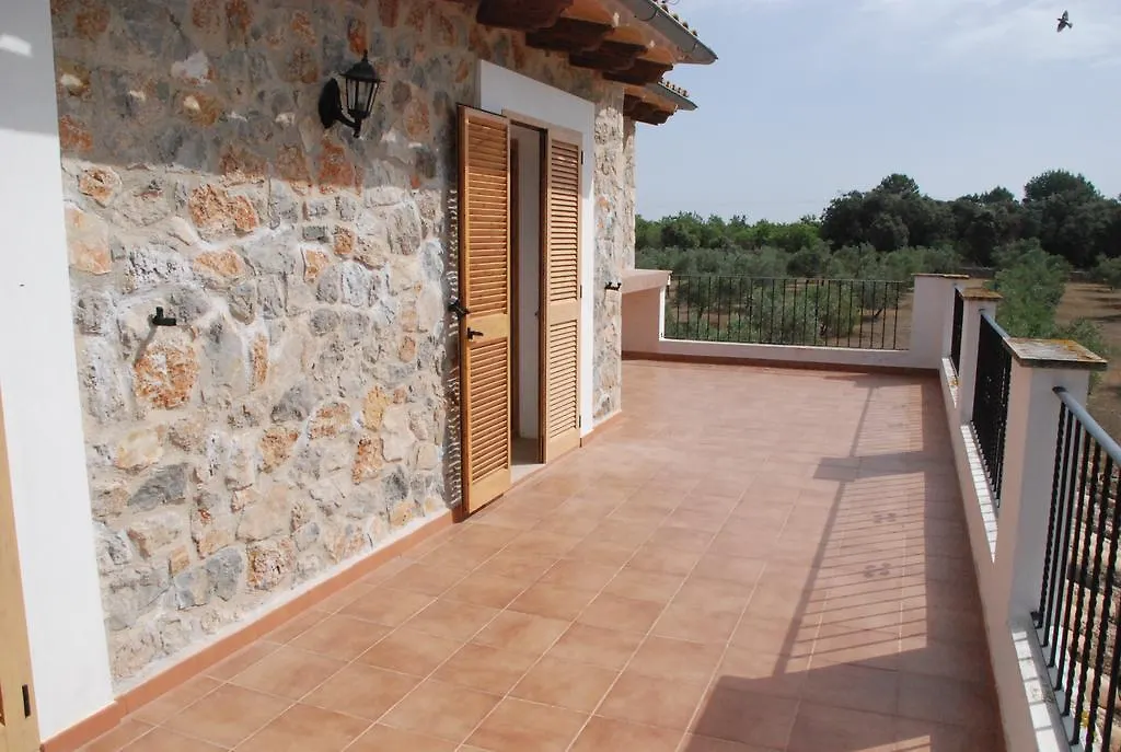 Mater Ses Oliveres Villa Llubi