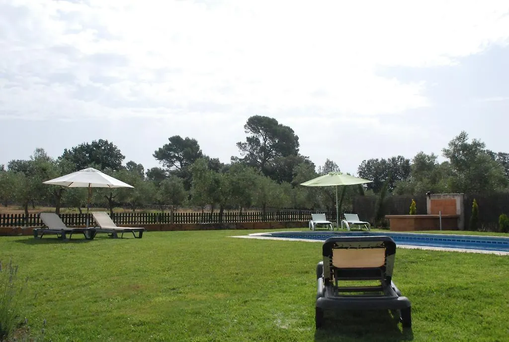 Mater Ses Oliveres Villa Llubi