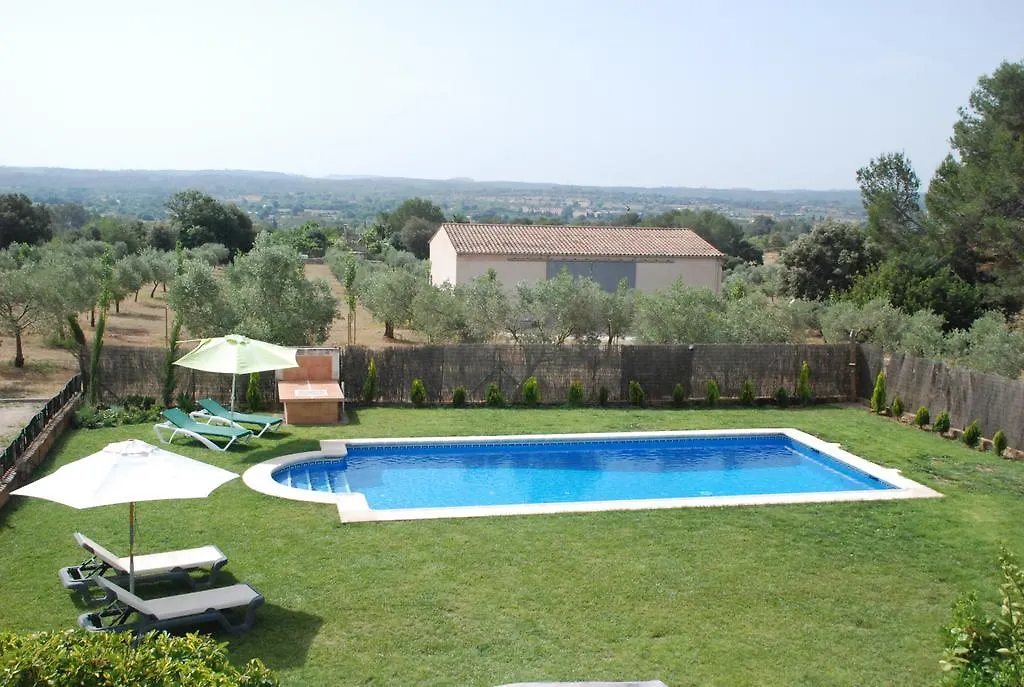 Mater Ses Oliveres Villa Llubi
