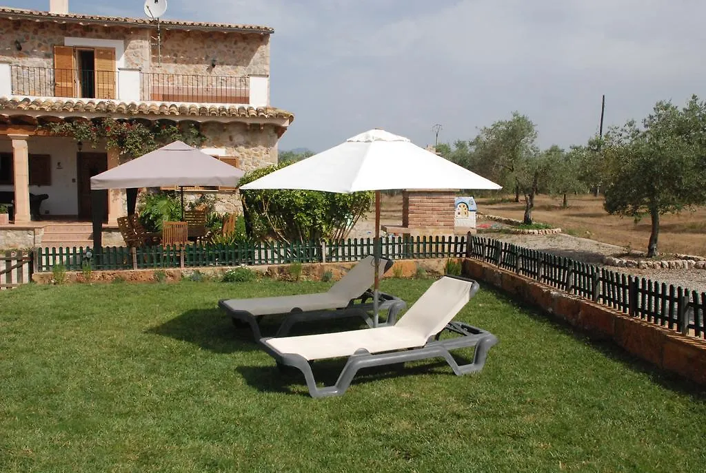 Mater Ses Oliveres Villa Llubi